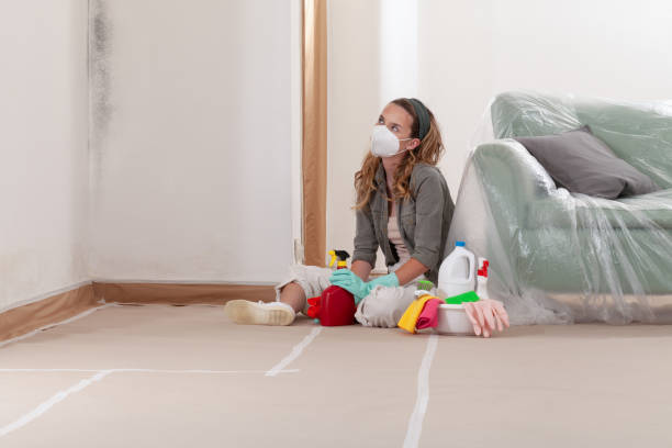 Reliable Bathroom Mold Removal contractor in Bellevue, MI by Mold Remediation HQ